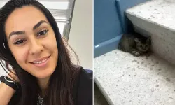Evinde rahatsızlanan Gamze kurtarılamadı, 20 kedisi korumaya alındı
