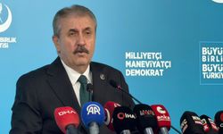 Destici: Azerbaycan'ın aynı bedelleri ödemesini istemiyoruz