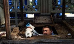 Yer altı çöp konteynerinin altına düşen yavru kediyi ekipler kurtardı