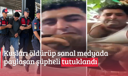 Kuşları öldürüp sanal medyada paylaşan şüpheli tutuklandı