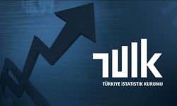 TÜİK verileri açıklandı: Borçlanmada dikkat çeken artış