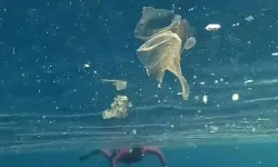 Kaş Halk Plajı’nda su altındaki plastik atıklar dikkat çekti