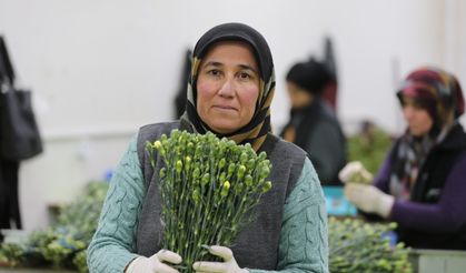 Dünya Kadınlarına Türkiye'den 75 Milyon Dal Çiçek