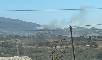 Hatay Antakya'da Orman Yangını