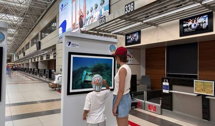 Akdeniz’de nesli tehlike altındaki türler Antalya Havalimanı’nda