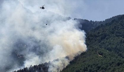 Hatay’da Habib-i Neccar Dağı’ndaki Orman Yangını Kontrol Altında