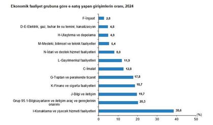 TÜİK: Web üzerinden yurt dışına satış yapan girişimler arttı