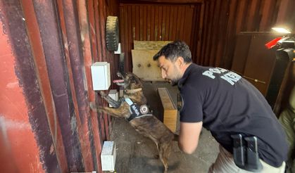 Antalya’da narkotik köpeklerine oyun temelli özel eğitim