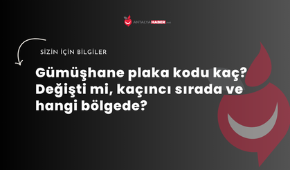 Gümüşhane plaka kodu kaç? Değişti mi, kaçıncı sırada ve hangi bölgede?