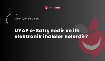 UYAP e-Satış nedir ve ilk elektronik ihaleler nelerdir?