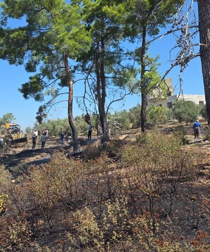 Manavgat’ta çıkan yangında 3 hektarlık alan zarar gördü