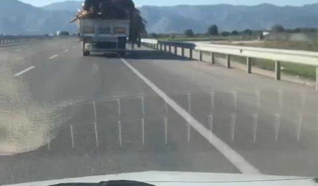 Tahta ve Tomruklar Yola Saçıldı; Şoför Aldırmadan Devam Etti