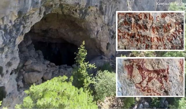 Kalker Ocağı Hakkında Kaçak Ağaç Kesimi Şikayeti