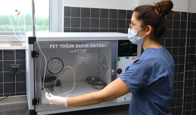 Engelli Hayvanlar İçin 'Yuva' Çağrısı