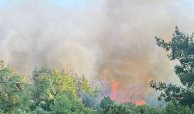 Aksu’daki orman yangınına havadan ve karadan müdahale