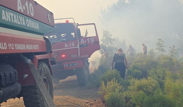 Antalya’nın Alanya ve Aksu ilçelerinde orman yangını