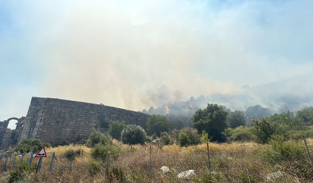 Antalya’da 3 ilçede orman yangınıyla mücadele sürüyor