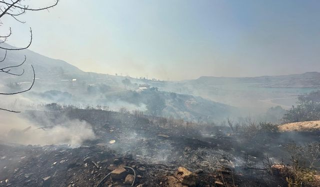 Antalya’da üç noktada orman yangınıyla mücadele sürüyor