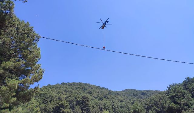 Kaş’taki orman yangını havadan müdahaleyle söndürüldü