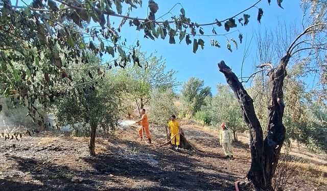 Kumluca’da tarım arazisinde çıkan yangın kontrol altına alındı