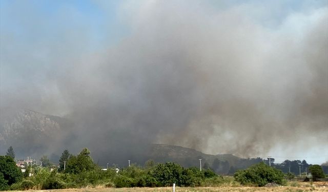 Serik’te orman yangınına havadan ve karadan müdahale sürüyor