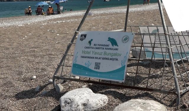 Çıralı’da işletmelerden carettalara yuva desteği