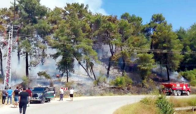 Manavgat’ta orman yangınına havadan ve karadan müdahale