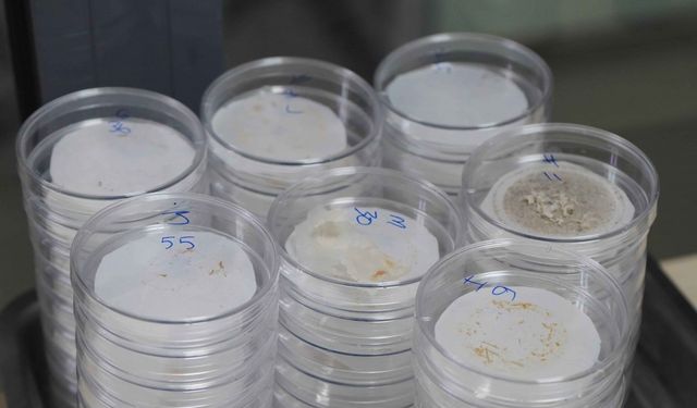 Mikroplastik tehlikesi: hayatı tehdit ediyor