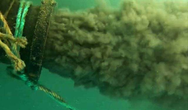 Selinus Sahili’nde 500 metrelik plastik boru kıyıya vurdu