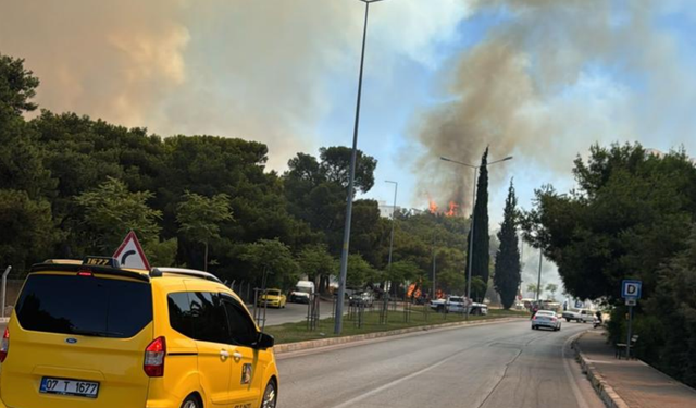 Antalya Muratpaşa’da Orman Yangını: Müdahale Sürüyor