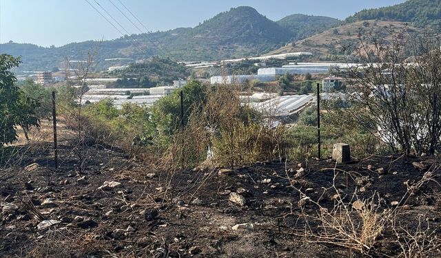 Alanya’da otluk alanda çıkan yangın söndürüldü