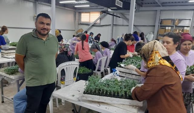 Kumluca’da 100 milyon fide toprakla buluştu