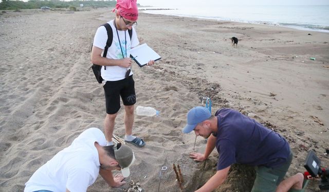 Belek’te caretta sezonu başladı: 5 bini aşkın yavru denize ulaştı
