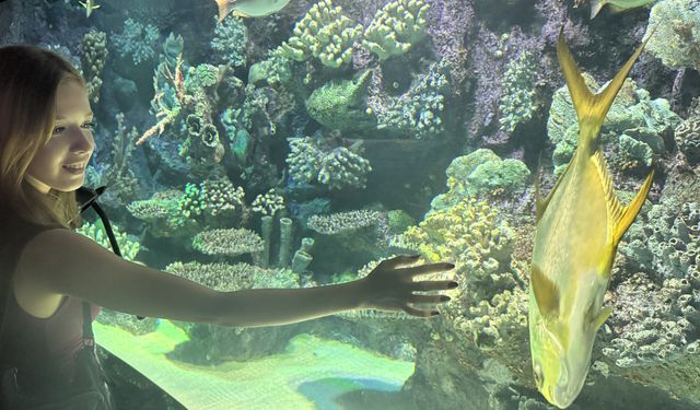 Antalya Akvaryum 28 bin balığıyla turistleri cezbediyor