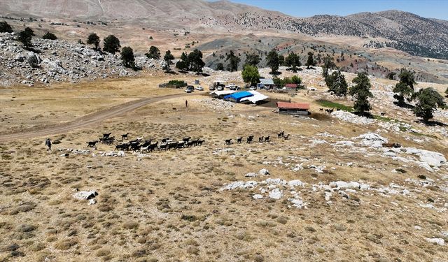 Antalya’da ‘Çoban Haritası Projesi’ çalışmaları sürüyor
