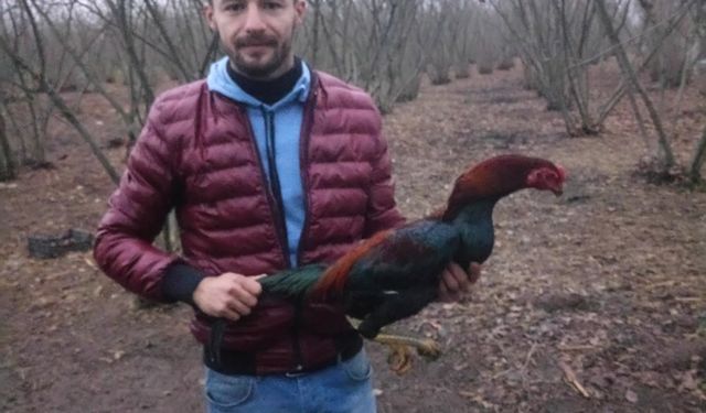 Sakarya’da fabrikada iş kazası: 1 ölü