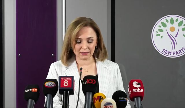 DEM Parti’li Doğan: Komisyonun yol haritası belirsiz