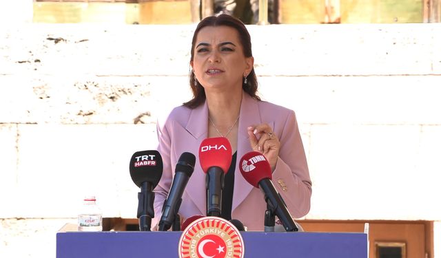 DEM Parti’li Koçyiğit: Komisyon hemen İmralı’ya gitmeli