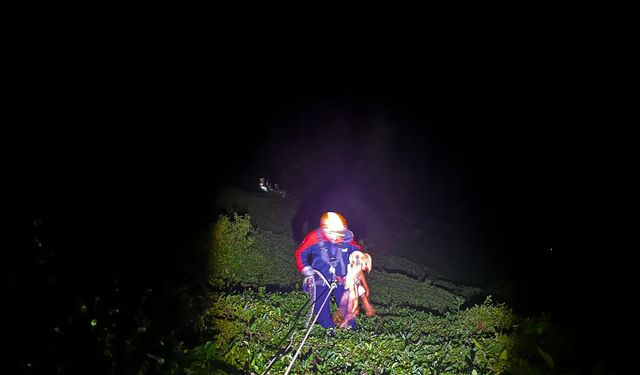 Rize’de turist uçurumdan düşerek hayatını kaybetti