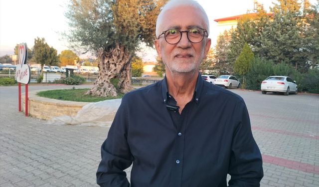 Manavgat’ta 2 bin 200 yıllık zeytin ağacında ilk hasat yapıldı