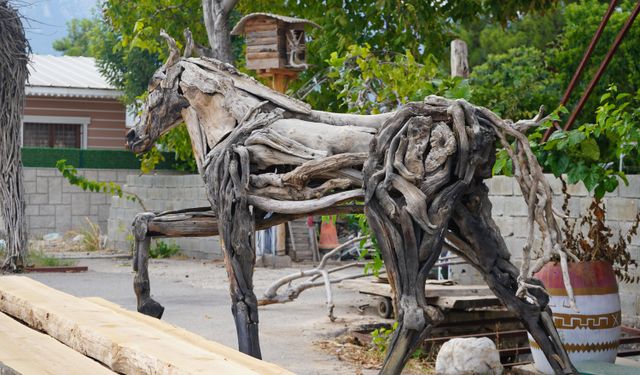 Antalyalı sanatçı Osman Dönmez atık ağaçlara hayat veriyor