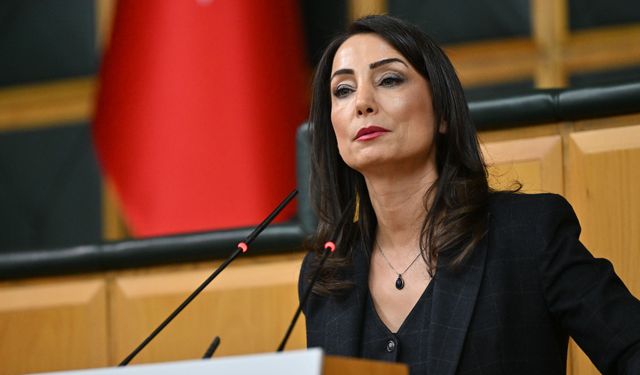 DEM Parti: Komisyon Öcalan’ı dinlemeli, umut hakkı tanınmalı