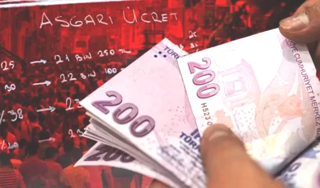 Türkiye’de asgari ücretli sayısı belli oldu