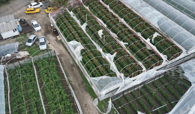 Antalya’da sağanak ve rüzgar seralarda hasara yol açtı