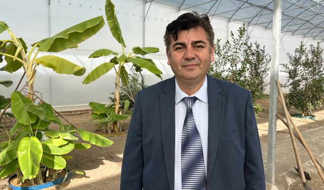 Kumluca’da tropik serada kahve fidanı denemesi başladı