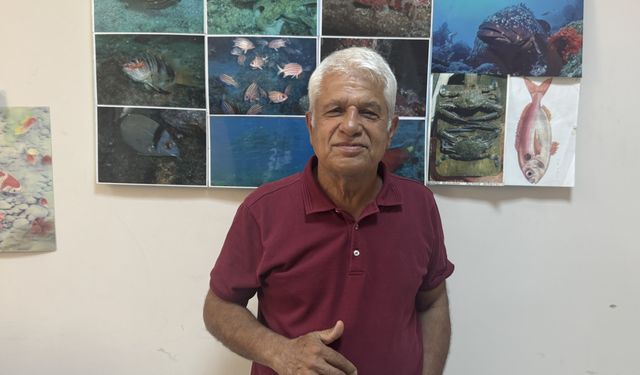 Meis Adası’nda yavru Akdeniz foku görüntülendi