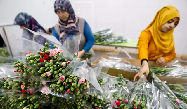 Kesme çiçek sektörü ihracatta tüm zamanların rekorunu kırdı