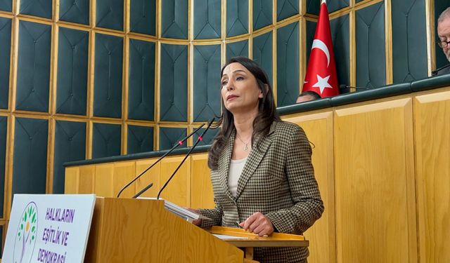 DEM Parti, İmralı’ya komisyon çağrısını yineledi