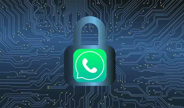 WhatsApp sıkı hesap modu ile güvenliği artırıyor
