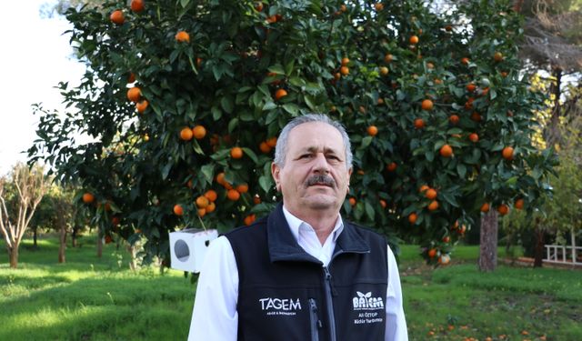 BATEM’de üretilen faydalı böcekler tarımı koruyor